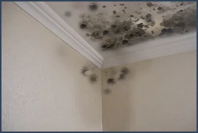 Boca Raton Water Damage Boca Raton, FL 561-295-4531