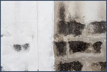 Boca Raton Water Damage Boca Raton, FL 561-295-4531 - content-mold