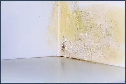 Boca Raton Water Damage Boca Raton, FL 561-295-4531 - content-water-damage