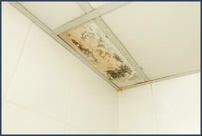 Boca Raton Water Damage Boca Raton, FL 561-295-4531 Boca Raton Water Damage Boca Raton, FL 561-295-4531 - content-water-leak