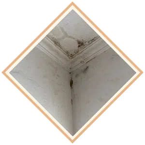 Boca Raton Water Damage Boca Raton, FL 561-295-4531