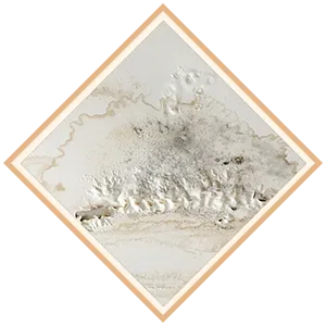 Boca Raton Water Damage Boca Raton, FL 561-295-4531